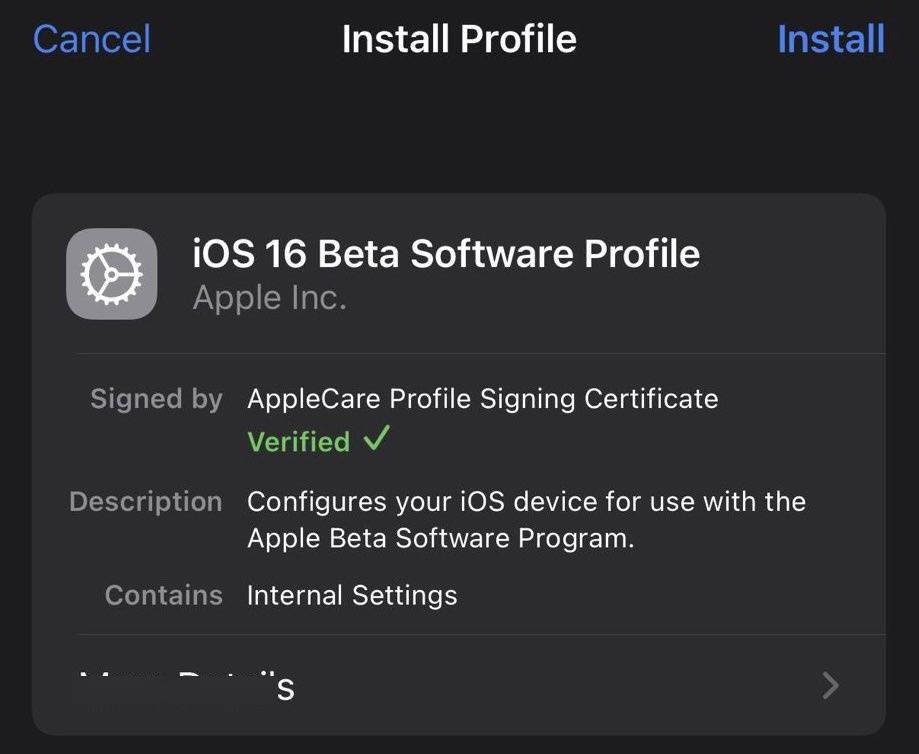 苹果 iOS 16 Beta 描述文件偷跑，但暂时无法下载更新