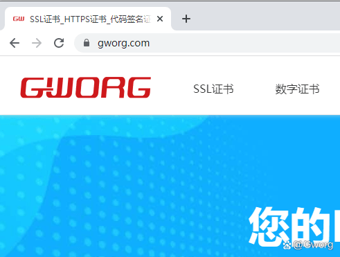 怎么申请SSL证书？