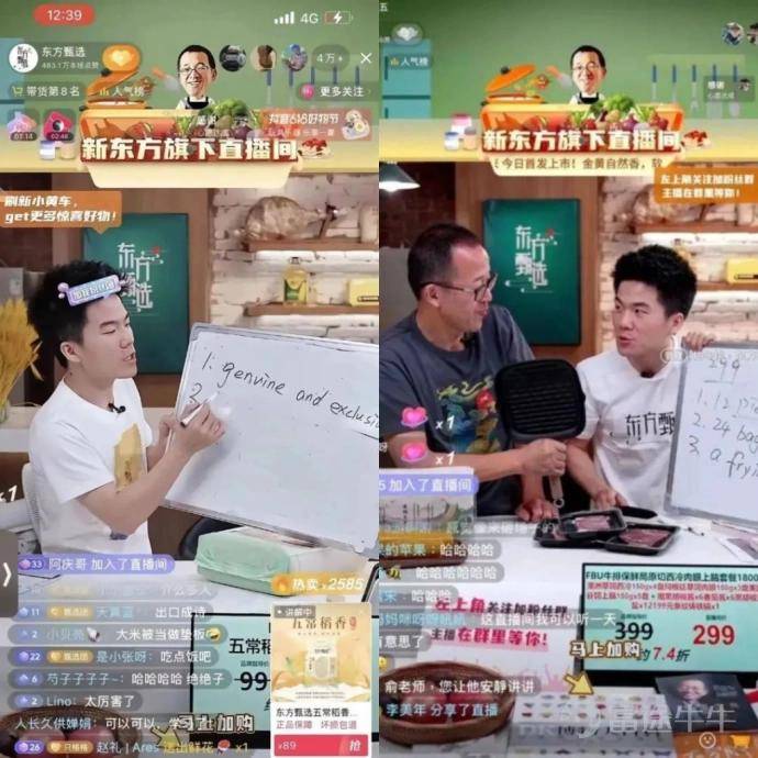 俞敏洪的创业之路，打不死的新东方
