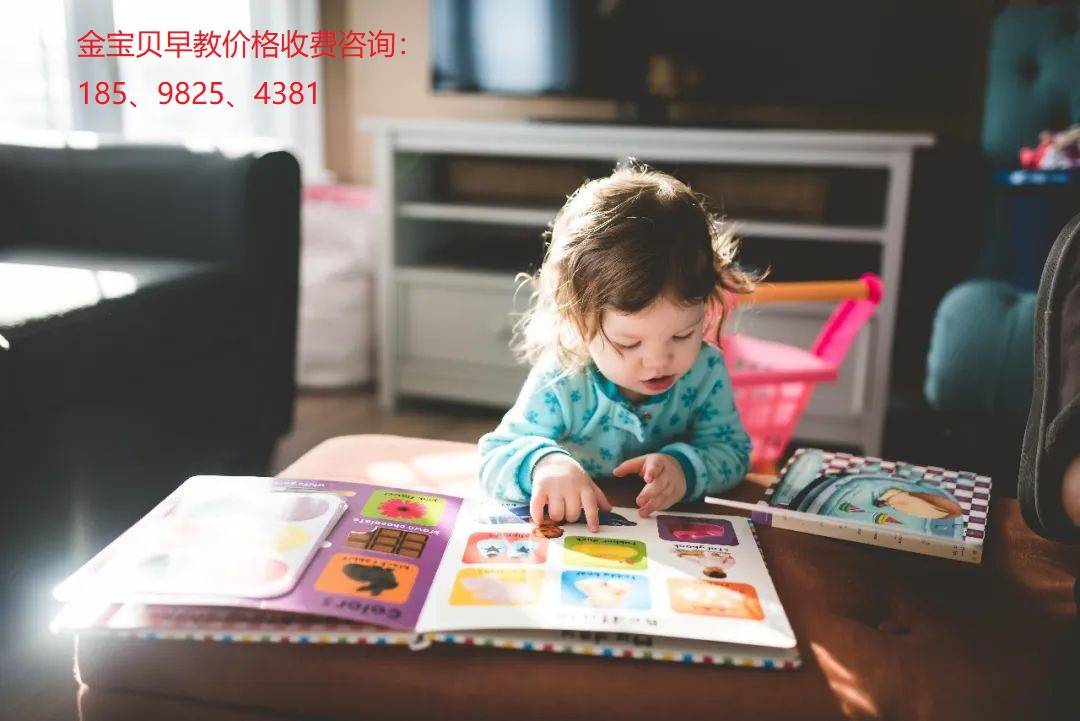 金宝贝深圳早教中心价格表