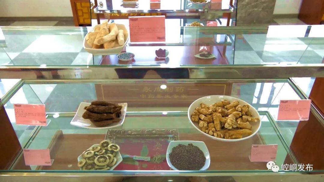 赞！崆峒区“链”出发展新活力