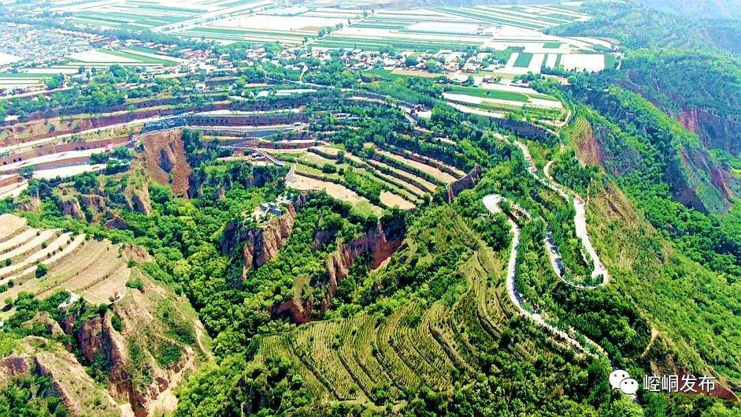 赞！崆峒区“链”出发展新活力