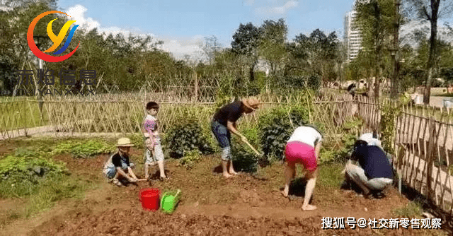「智慧农场」农场认养模式出现，给了农场主一个新思路