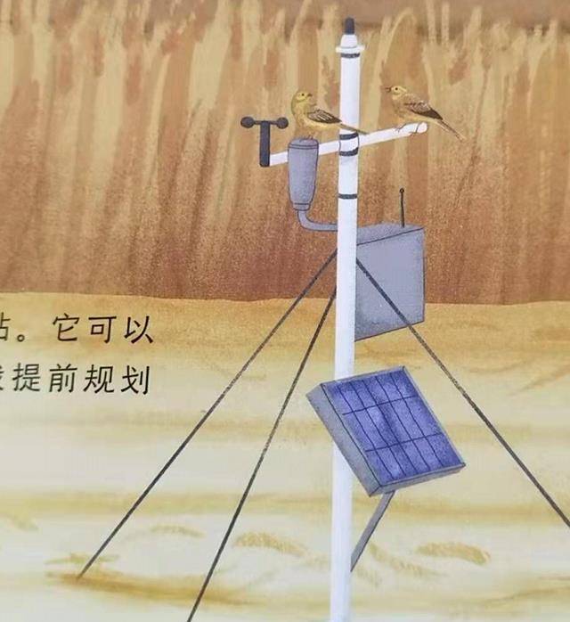 从《亚当农场的一年》，走进真正的农场