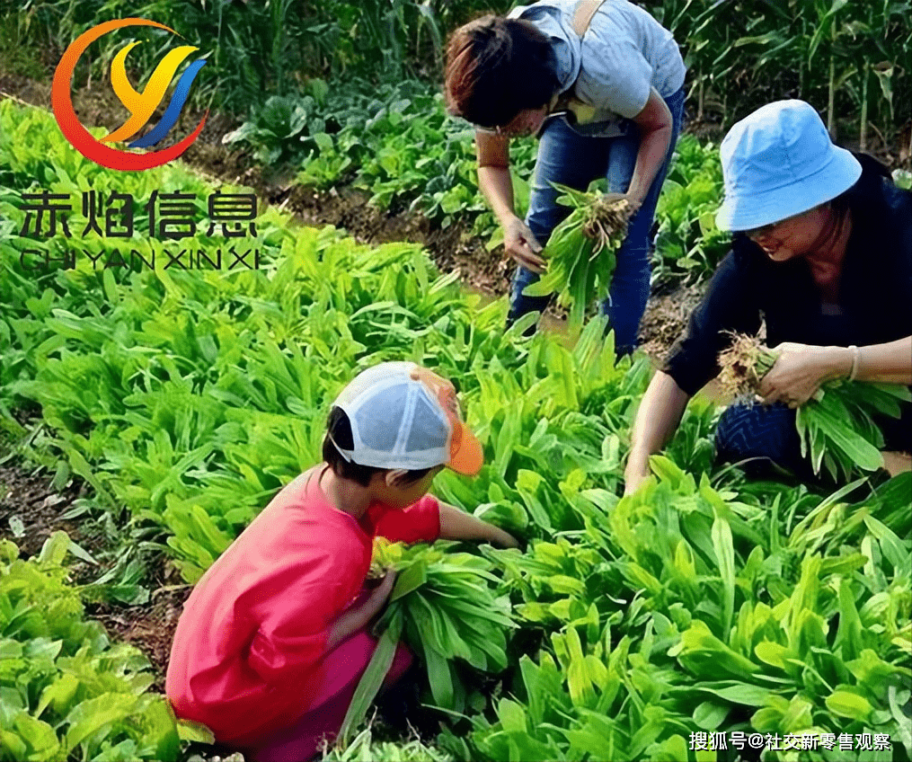 共享农场：共享农场的“三赢之道”，你知道吗？