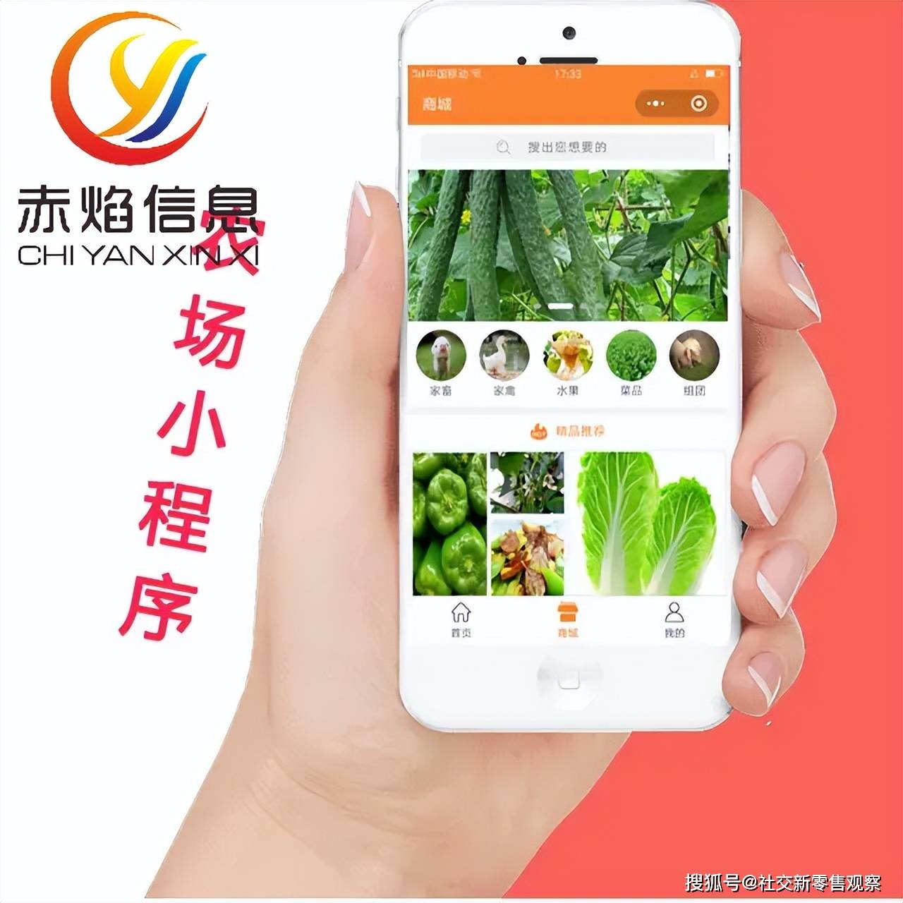 共享农场：共享农场的“三赢之道”，你知道吗？