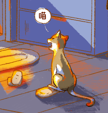 文末福利 | 喵喵喵喵喵喵喵喵喵喵