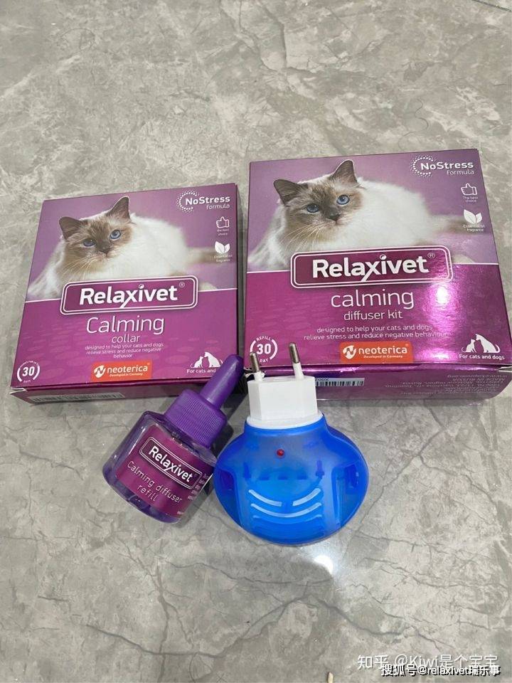 为什么我的猫突然喵喵叫？