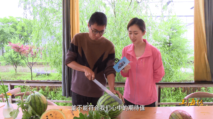 无西瓜不夏天：走！到黄岩北洋这家“西瓜博物馆”手剥西瓜去~
