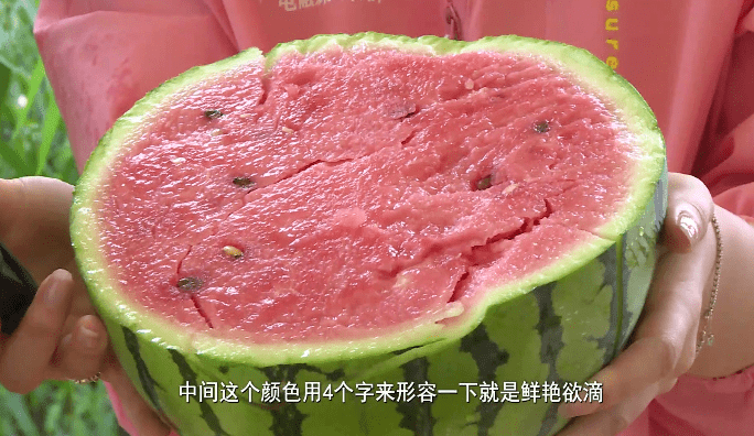 无西瓜不夏天：走！到黄岩北洋这家“西瓜博物馆”手剥西瓜去~