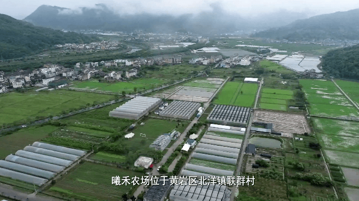 无西瓜不夏天：走！到黄岩北洋这家“西瓜博物馆”手剥西瓜去~