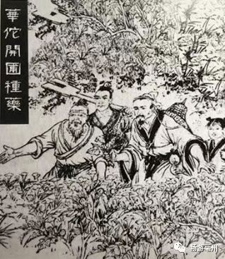 华佗与曹操的医相同途！