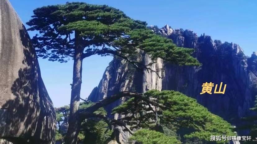 虎币行情创历史新高，黄山和峨眉山纪念币要来了吗？