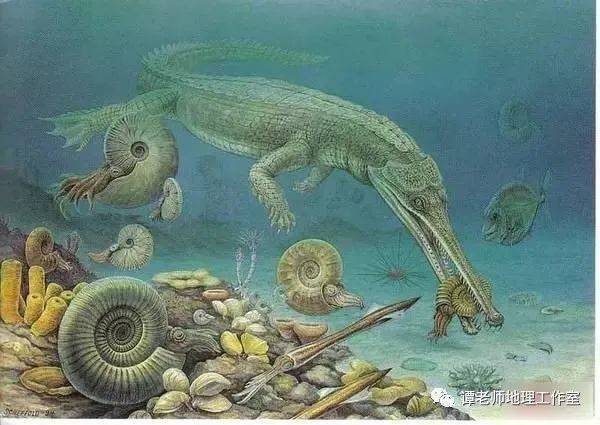 【石油地理】石油真的是动物尸体变成的吗？从地理角度探秘石油成因！高考热点—石油资源与能源安全！