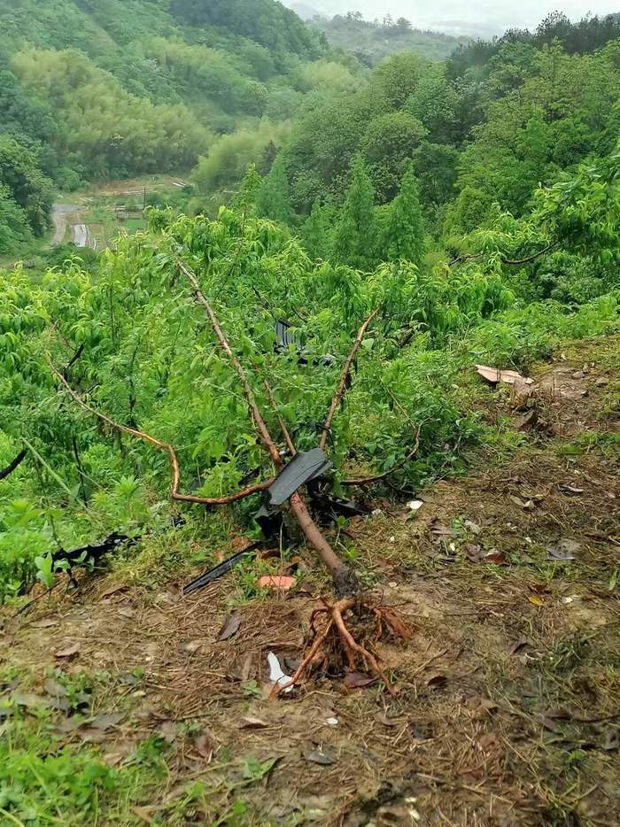 金华夫妻开特斯拉坠崖身亡事故，特斯拉最新回应