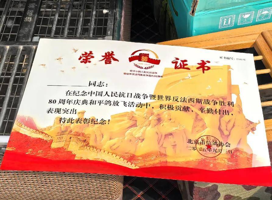 阅兵式上放飞的8万羽和平鸽陆续到家，多位鸽友晒出荣誉证书