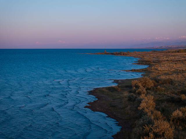 青年说 | 到中亚,奔赴一场激动人心的“探秘”