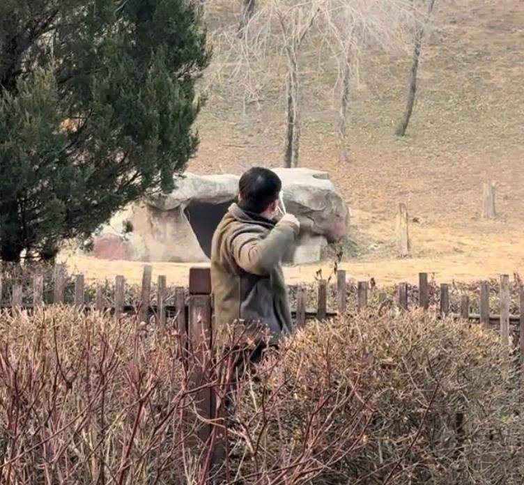 沈阳一男子动物园内用弹弓射老虎,目击者称其“填装了弹丸”,打完后老虎爬起来了,园方:正在核实情况