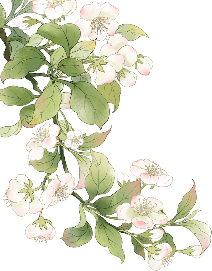 推荐读书架之《历史那些事儿》系列——明朝时期