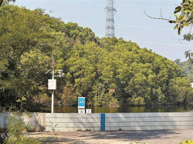 水库岸边枯树成片倒伏 龙华区水务局：水淹后自然枯萎，三天内清完