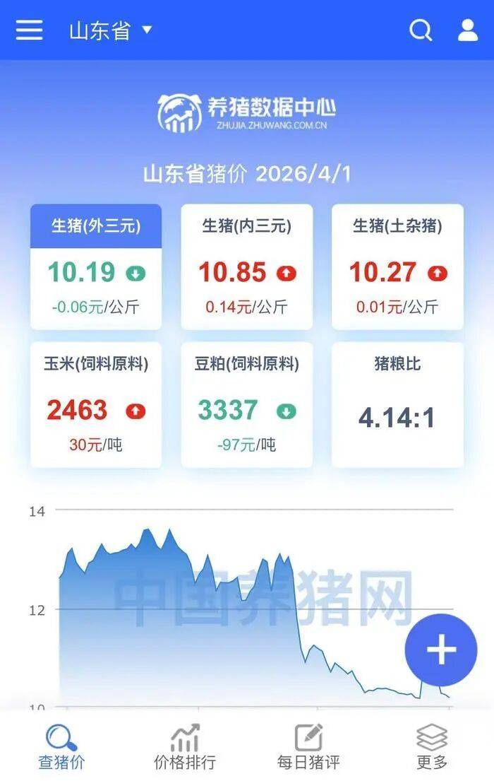 济南猪肉价格“大跌”,排骨低至“个位数”,记者实探商超和批发市场!有市民感慨价格真便宜