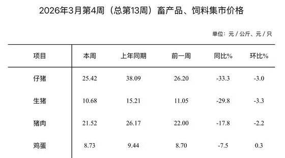济南猪肉价格“大跌”,排骨低至“个位数”,记者实探商超和批发市场!有市民感慨价格真便宜
